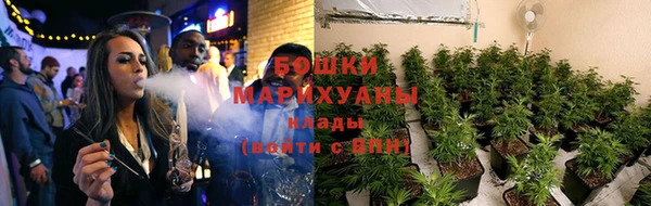 гидропоника Вязьма
