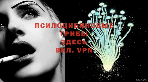 герыч Вяземский